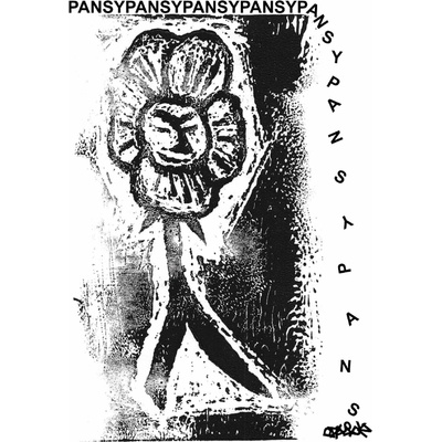 Pansy Division, SKIN GRAFT, CD