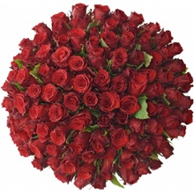 Kytice 100 rudých růží RED TORCH 60 cm