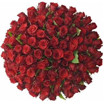 Kytice 100 rudých růží RED TORCH 50 cm