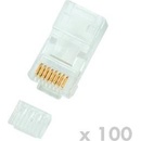 DATACOM konektor UTP CAT6 8p8c- RJ45 lanko