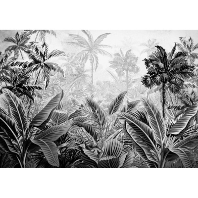 Postershop Fototapeta vliesováPalmy a kapradí černobílé rozměry 254x184 cm