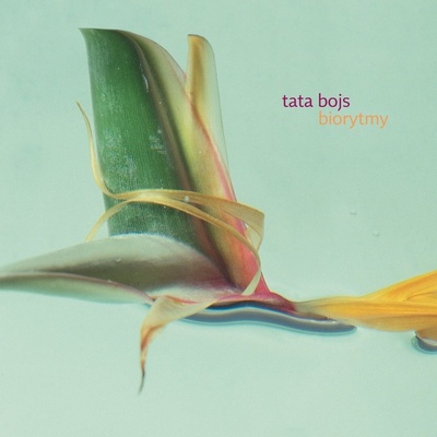 Tata Bojs • Biorytmy LP
