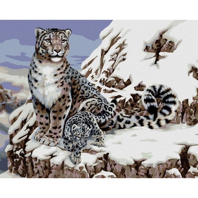 Zuty Malování podle čísel Levhart sněžný s mládětem Howard Robinson 40 x 50 cm vypnuté plátno na rám