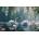 Norimpex - Puzzle Diamant painting: Swans 30x40cm - 1 - 39 piese
