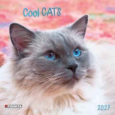 Cool Cats 16měsíční, 30 x 30 cm 2027
