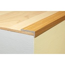 Profil Team Schodová hrana šampaň E02 2,7 m 25x10 mm