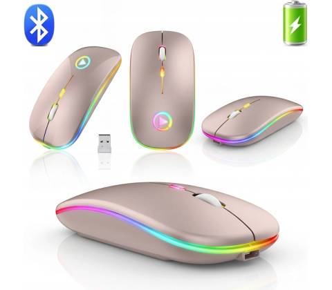 DSJ AA2