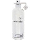 Montale Vanille Absolu parfémovaná voda dámská 100 ml tester