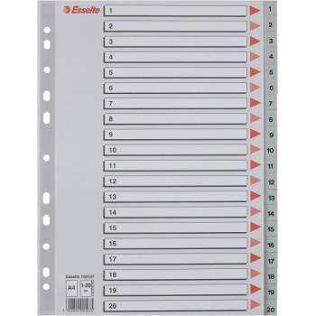 ESSELTE Регистър esselte a/4 пластмаса 1-20 сив 100107 (100107)