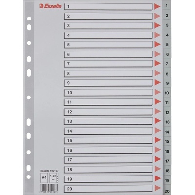 ESSELTE Регистър esselte a/4 пластмаса 1-20 сив 100107 (100107)
