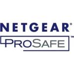 NETGEAR GSM7328FL