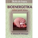 Bioenergetika cvičení proti stresu Škola do kapsy