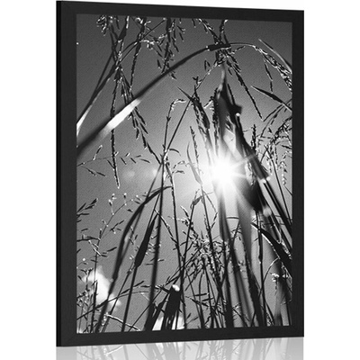 Plakát polní tráva v černobílém provedení - 20x30 black