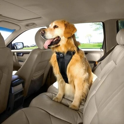 Kurgo Bezpečnostní postroj pro psy s pásem do auta XL