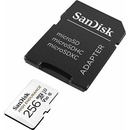 SanDisk SDXC UHS-I U3 256 GB QQNR-256G-GN6IA