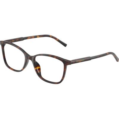 Dolce&Gabbana DG3424 502