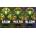 Grow-Bloom-Micro Professional 9.46L - 3-компонентен минерален тор за растеж и цъфтеж