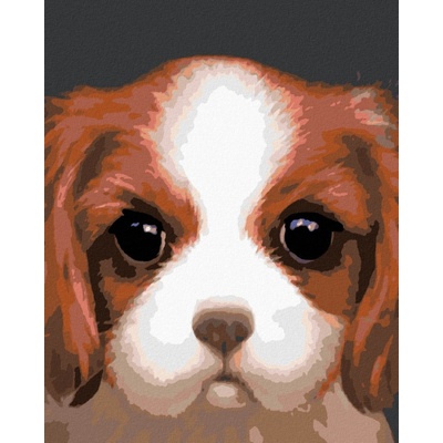 Diamondi Diamantové malování PES - KAVALÍR KING CHARLES ŠPANĚL (MYROSLAVA VOLOSCHUK) 40 x 50 cm vypnuté plátno na rám