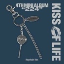 Various: 224 Keychain Version CD
