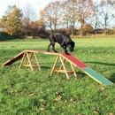 Trixie Agility lávka 456 x 64 x 30 cm do 80kg