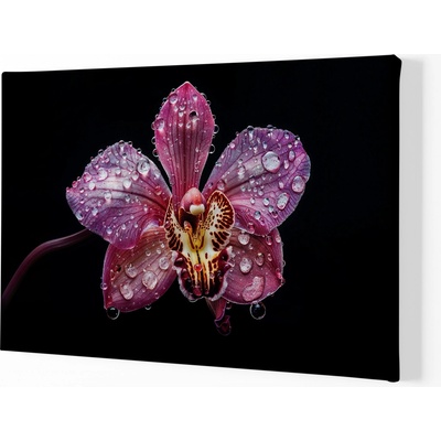 Obraz na plátně - Orchidej, kapky souznění FeelHappy.cz Velikost obrazu (šířka x výška): 120 x 80 cm