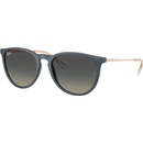 Ray-Ban Erika RB4171 681311