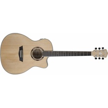 Washburn AG 40 CE