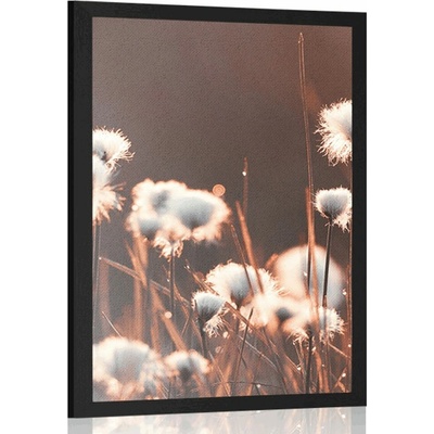 Plakát bavlněná tráva - 20x30 black
