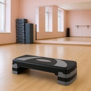 TRINFIT Stepper