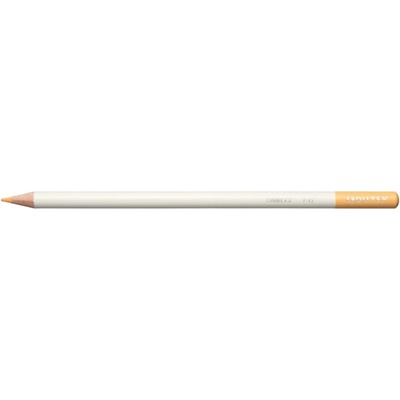 Tombow Irojiten Gamboge CI-RP13