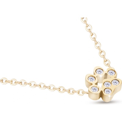 Biju Řetízek z chirurgické oceli s přívěskem, pozlacený 14k, jemná tlapka ozdobená zirkony 3001858