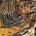 SEGALL TY: SLEEPER LP