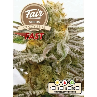 Fair Seeds Cindy Blue Fast semena neobsahují THC 10 ks