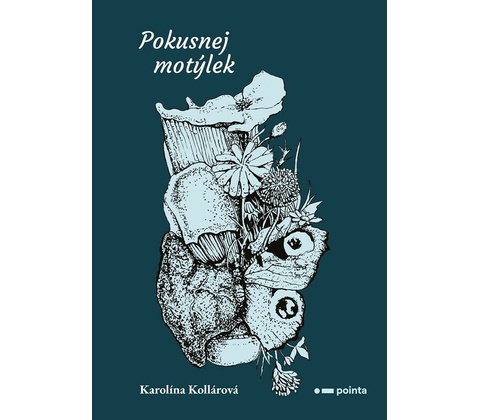 Pokusnej Motýlek