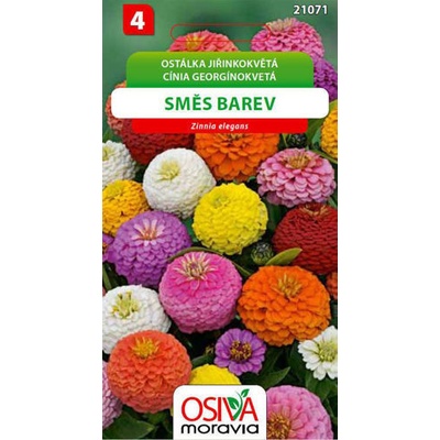 Ostálka jiřinkokvětá - směs barev Osiva moravia 1 g