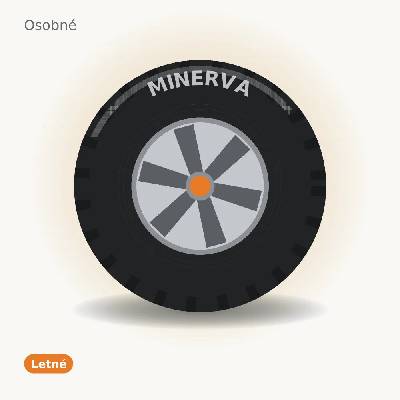 Minerva F209 195/55 R15 85V