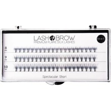 Lash Brown Premium Flare Silk Lashes Spectacular Short 60 ks