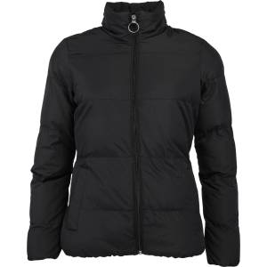 Willard HERMINA XL