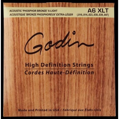 Godin Strings Acoustic Guitar XLT
