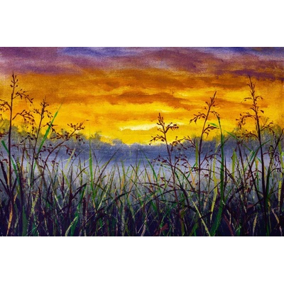 DIMEX ART Флизелинов фототапет картина - тревиста поляна 375 x 250 см