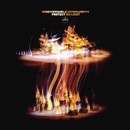 Protect Your Light - Irreversible Entanglements CD