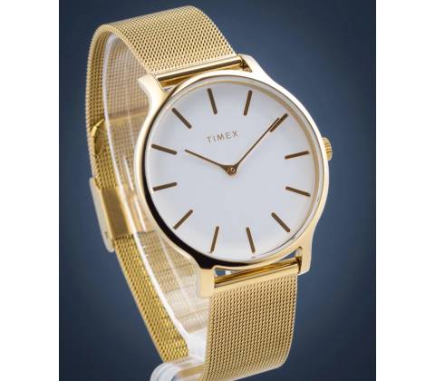 Timex TW2T74100