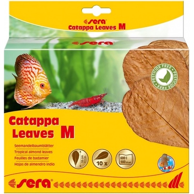 Sera Catappa Leaves M 18 cm, 10 ks