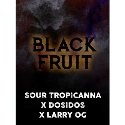 Tramuntana Seeds Black Fruit semienka neobsahujú THC 3 ks