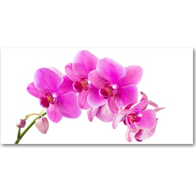 Fotoobraz na skle ružová orchidea 100x50 cm
