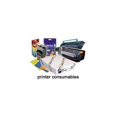 Epson C13S041703