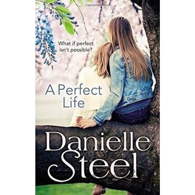A Perfect Life - Danielle Steel