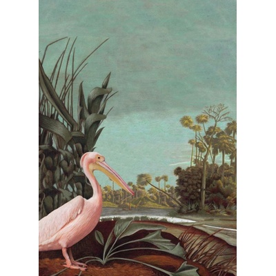 Esta Home 158948 Vliesová fototapeta vtáky pelikán príroda Paradise rozmery 200x279cm
