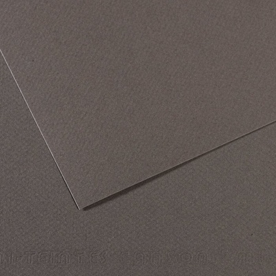 Canson Mi-Teintes 50x65 cm Gris Ardoise 345 160 g Цветна хартия (C200321064)