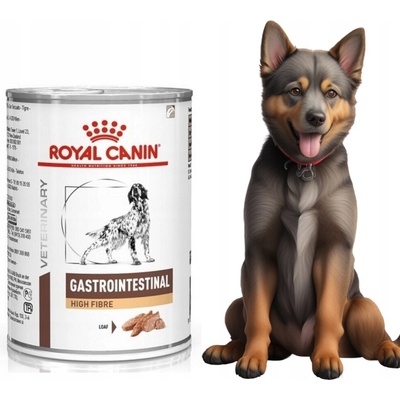 Royal Canin VHN Gastrointestinal 410 g